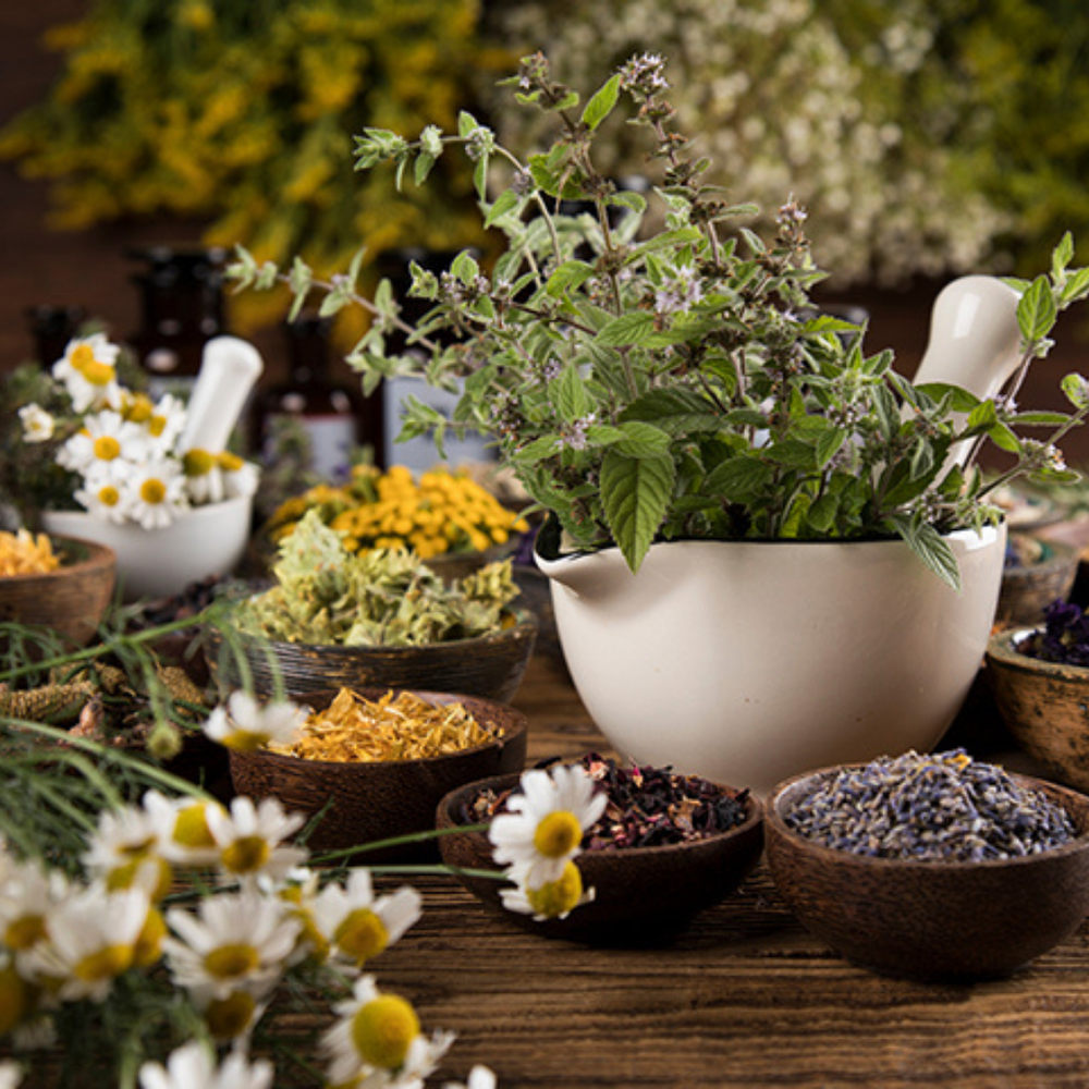 Heilkraft aus dem Klostergarten 🌻