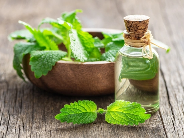 Dein Schlüssel zu innerer Ruhe und Entspannung 🌿