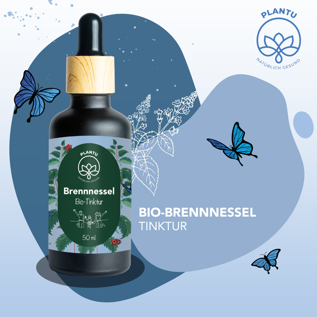 Wenn Haut, Haare & Nägel schwächer werden…