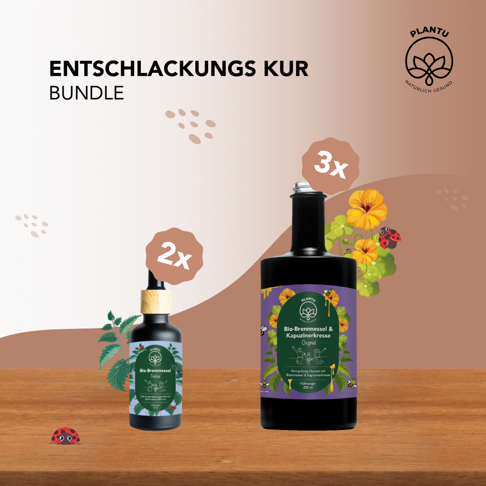 Entschlackungs Kur - Bundle